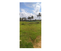 Secure Your Future - Agricultural Land for Sale in Bangalore at Anugraha Farms