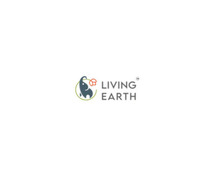 Buy LIVING EARTH ORGANICS - A+ Turmeric, 500g – At Best Price | Livingearth