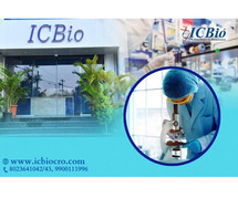 Full-Service Contract Research Organization – ICBiocro