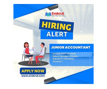 Junior Accountant Job At G And D