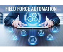 Why Is Field Force Management Software Important?