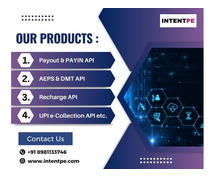 Best Payout and PAYIN API Provider in India