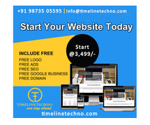 Affordable Website Design Services in Delhi India