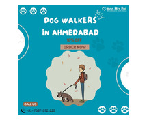 Expert Dog Walking Services Ahmedabad