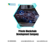 Private Blockchain Development Company