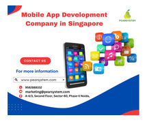 Selecting The Perfect Mobile App Development Company in Singapore