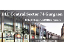 DLF Central Sector 74 Gurgaon - Opportunity for a Bullish Investment