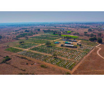 Your Gateway to Best Managed Farmland Near Bangalore.