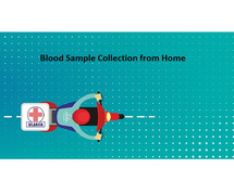 Book Blood Home Sample Collection -Test at Home