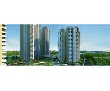 Pareena Micasa 2 and 3 BHK Luxury Apartments Gurgaon