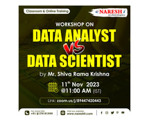 Online Workshop on Data Analyst Vs Data Scientist - NareshIT
