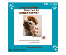 Best Dog Sitter Bhubaneswar at Affordable Price