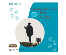 Expert Dog Walking Services Bhopal