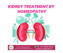 Examining Homoeopathy for Kidney Health