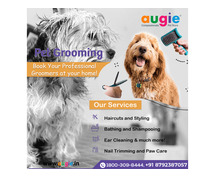 At Home Pet Grooming Service In Bangalore