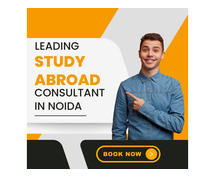 Study Abroad Consultant In Noida
