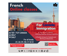 Learn French Online with Expert Tutors