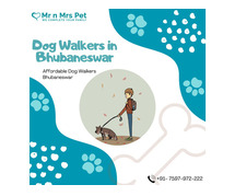 Expert Dog Walking Services Bhubaneswar
