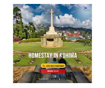 Book Your Hornbill Homestay With Easy Connectivity
