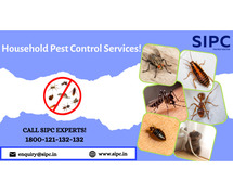 Best Pest Control Services in Delhi