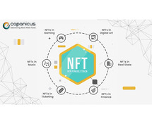NFT marketplace Platform development services to create a blockchain-based system.