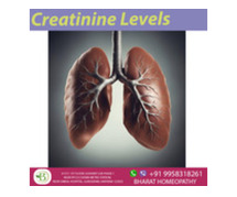 A Complete Guide to Kidney Health: Comprehending Creatinine Levels