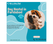 Dog Hostel Faridabad At Affordable Price