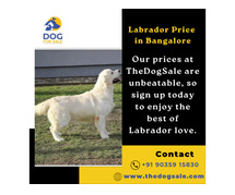 Labrador Price in Bangalore