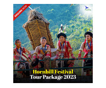 Hornbill Festival 2023 - Date, Venue and Ticket