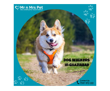 Affordable Dog Walkers Ghaziabad