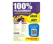 100% Placement Assistance Program On Java Developer & .Net - Naresh IT