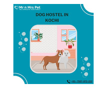 Best Dog Sitter Kochi at Affordable Price