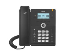 Best VOIP Phone | AX-300G