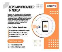 AEPS API Provider in Noida