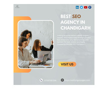 Edifying Voyages | Finest SEO Agency In Chandigarh