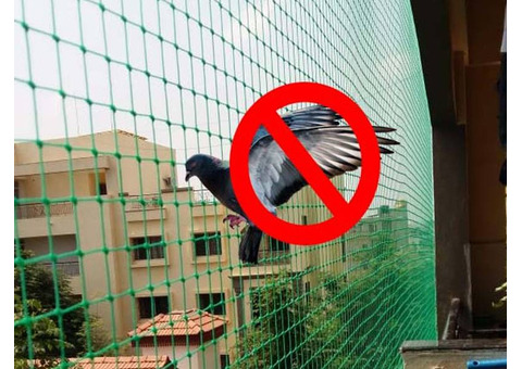 Effective Pigeon Control Nets in Bangalore by Venky Safety Net