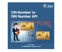 Best Fetch CIN to DIN API Company in India