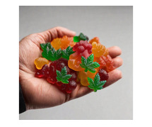 Natural Bliss: Discovering the Benefits of Alpha Labs CBD Gummies
