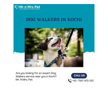 Expert Dog Walking Services Kochi