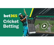 Bet365 Online Cricket Betting