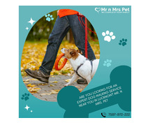 Expert Dog Walking Services Lucknow