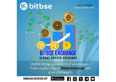 Bitbse: Your Entryway to an Exciting Crypto Journey.