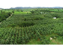 Invest in Serenity -  Buy Farmland Near Bangalore at Anugraha Farms for a Flourishing Future.