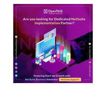 OpenTeQ is a Netsuite Developer company|Best NetSuite integration company