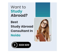 Study Abroad Consultant In Noida
