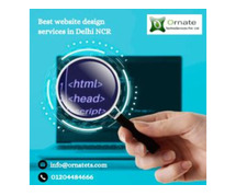 Best website design services in Delhi NCR