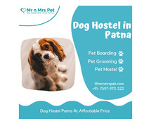 Best Dog Sitter Patna at Affordable Price