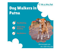 Expert Dog Walking Services Patna