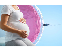 Best IVF Doctor in Ahmedabad