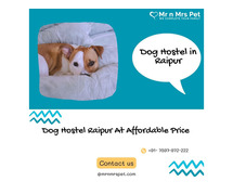 Best Dog Sitter Raipur at Affordable Price